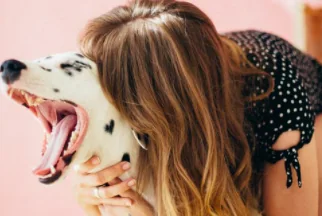Alla spa con il cane